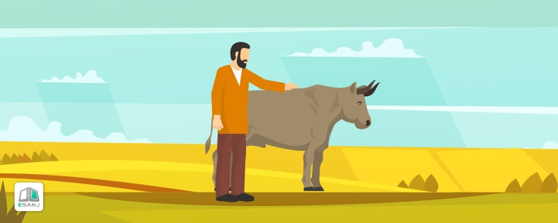 ضرب المثل هر چه می گویم نر است، می گوید بدوش