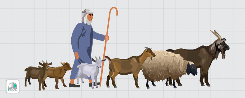 ضرب المثل کشک چی؟ پشم چی؟