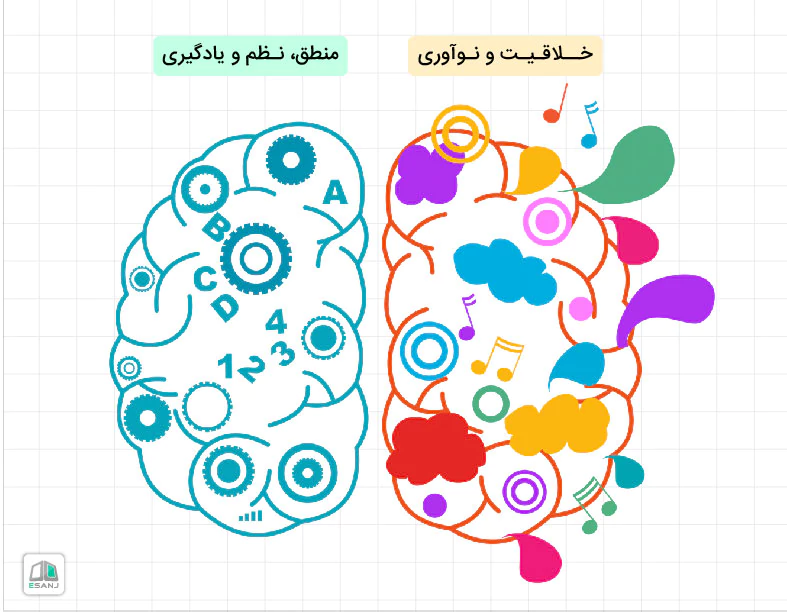 شناخت عملکرد مغز