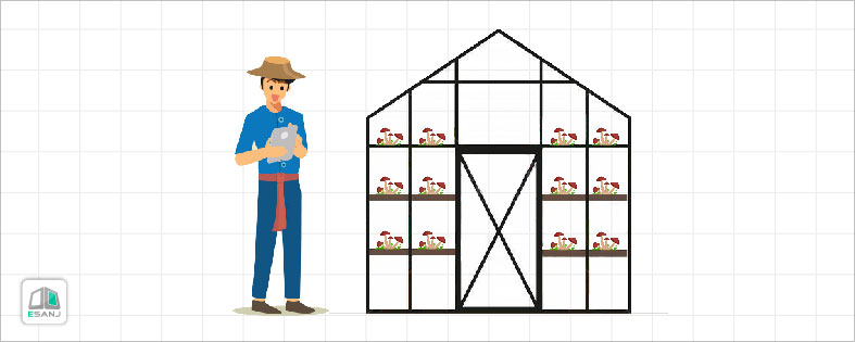 مشاغل خانگی برای آقایان: پرورش قارچ