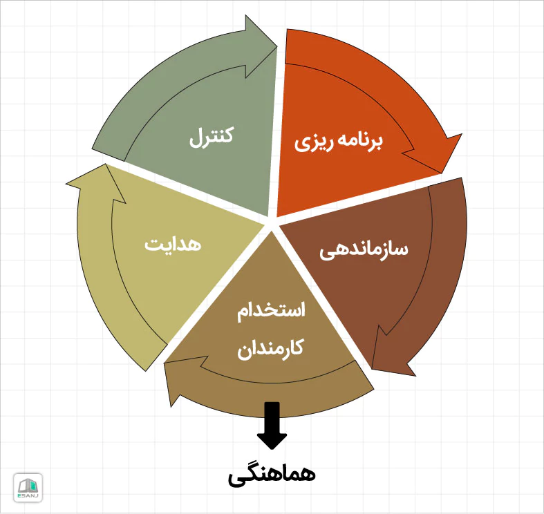 معنا و مفهوم هماهنگی