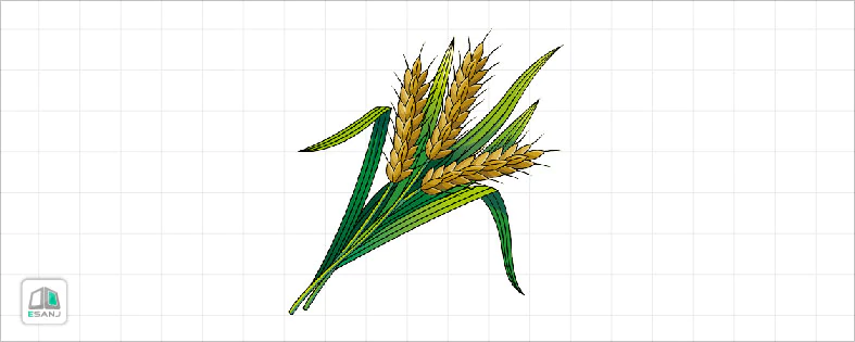 مواد غذایی حاوی گلوتن