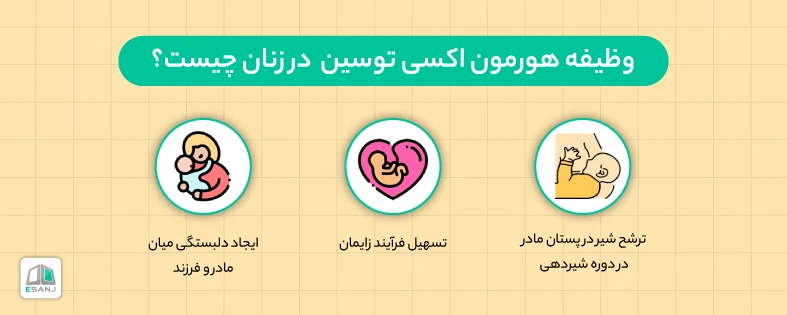 وظیفه هورمون اکسی توسین در زنان