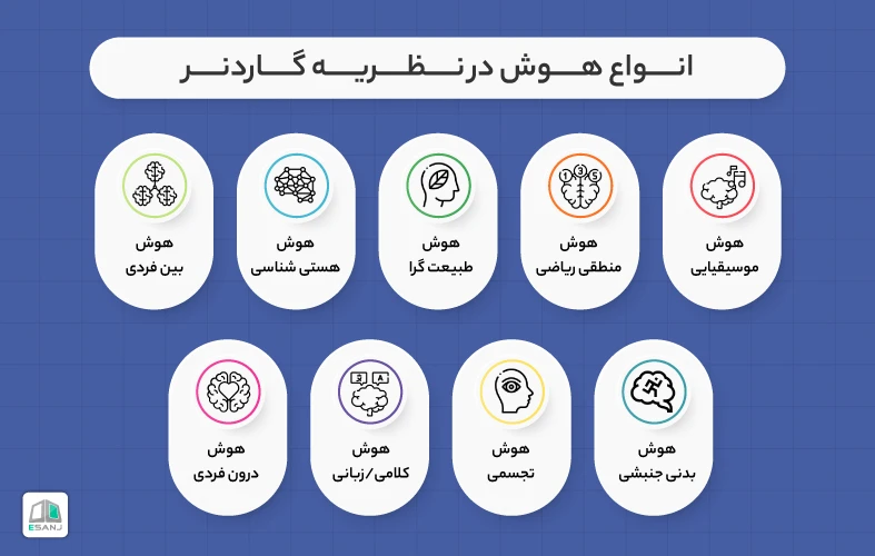 انواع هوش از نظر گاردنر