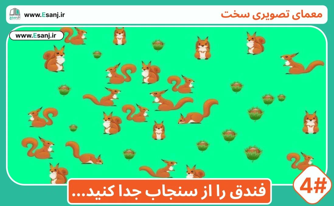 معمای سخت: سنجاب و فندق