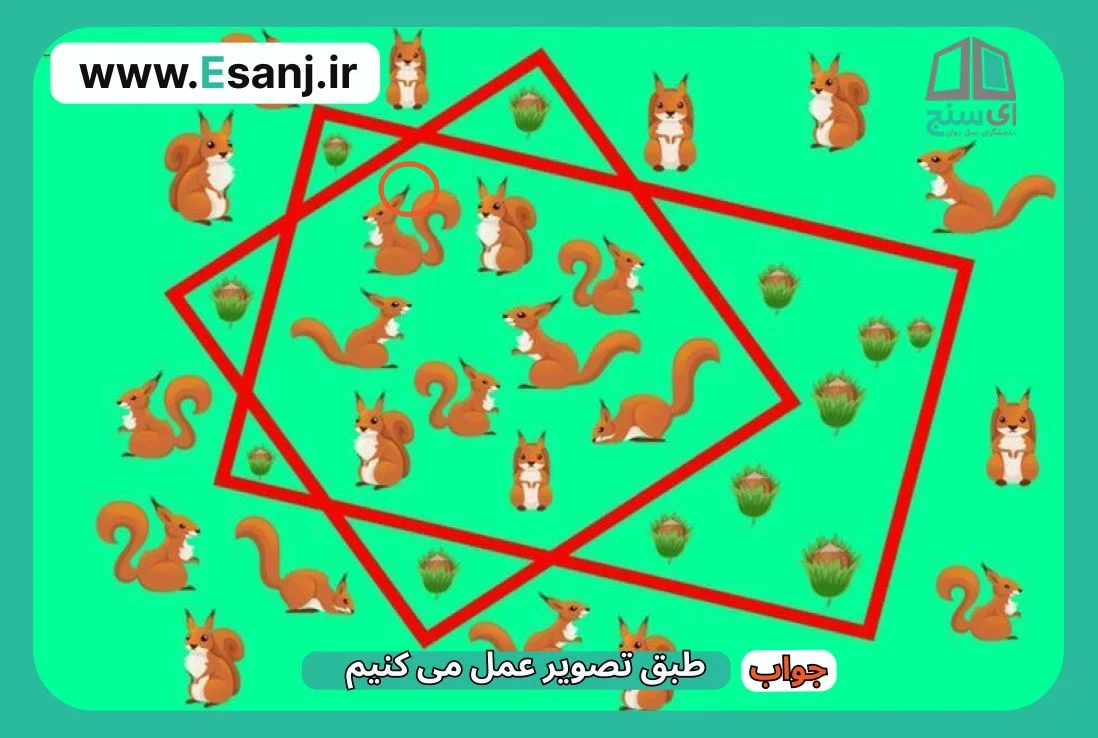 جواب معمای سخت سنجاب و فندق