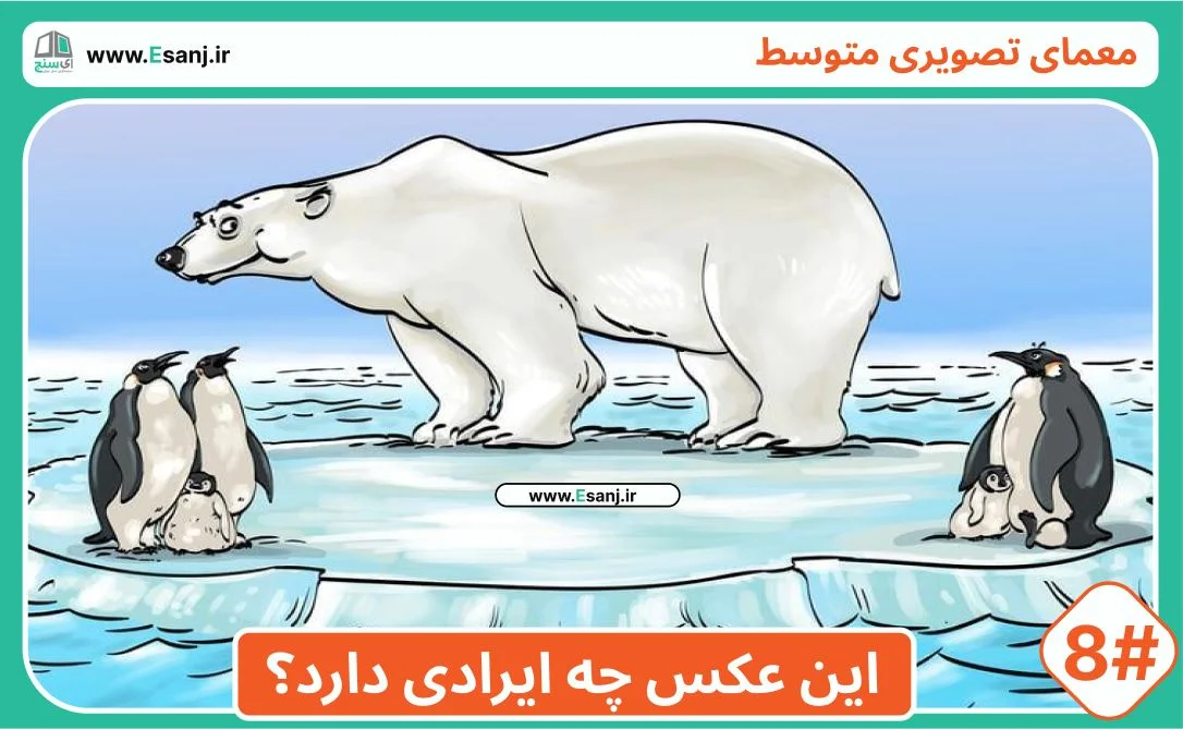 معمای متوسط: خرس قطبی