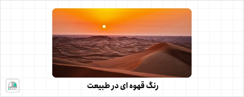 رنگ قهوه ای در طبیعت