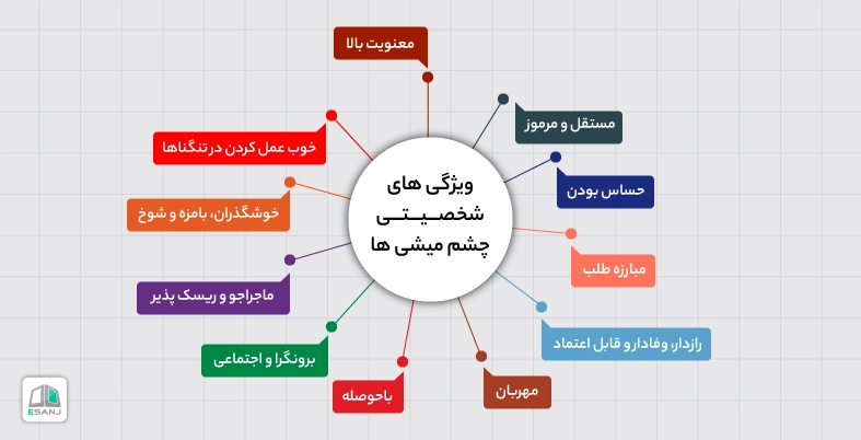 ویژگی های شخصیتی افراد چشم میشی