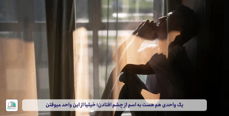 معنای از چشم افتادن