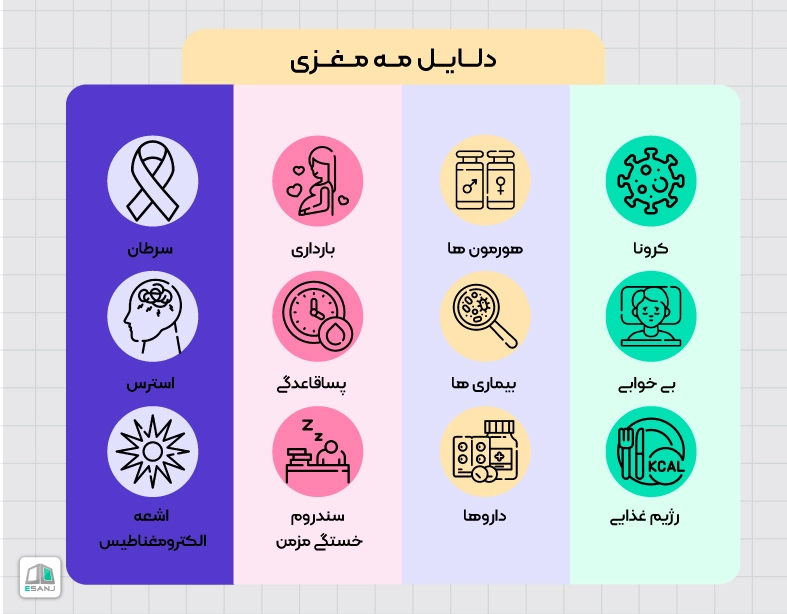 دلایل مه مغزی