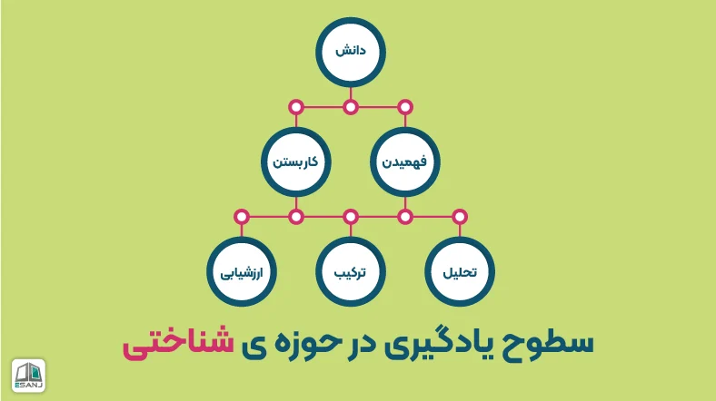 سطوح یادگیری در حوزه ی شناختی