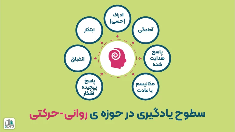 سطوح یادگیری در حوزه ی روانی - حركتی