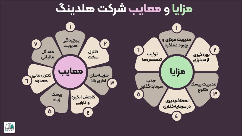 مزایا و معایب هلدینگ