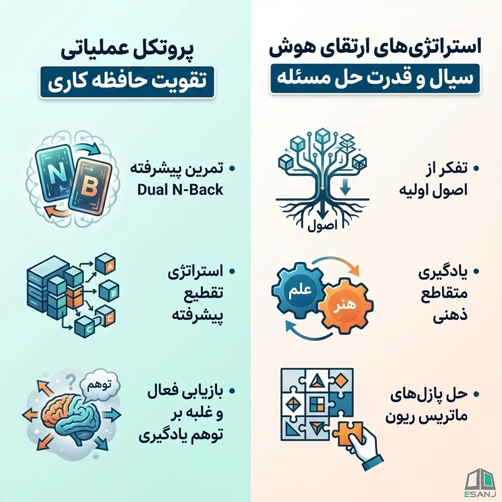 پروتکل عملیاتی تقویت حافظه کاری