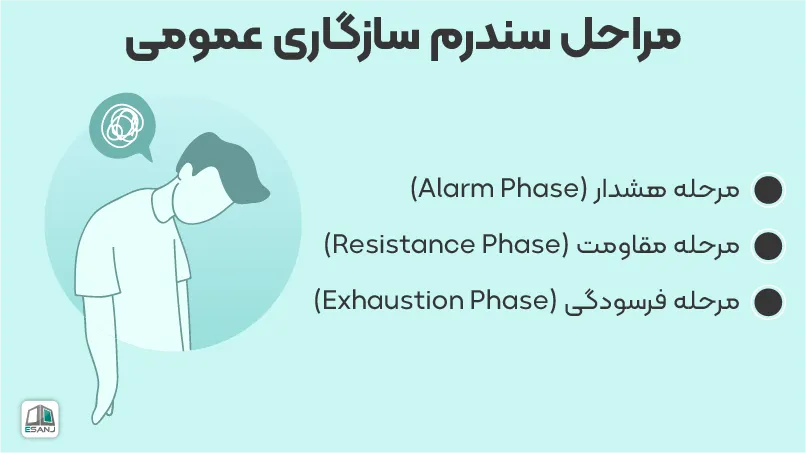 مراحل سندروم سازگاری عمومی