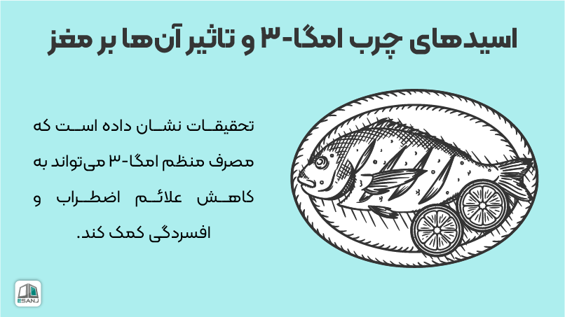 اسیدهای چرب امگا 3 و تاثیر آن ها بر مغز