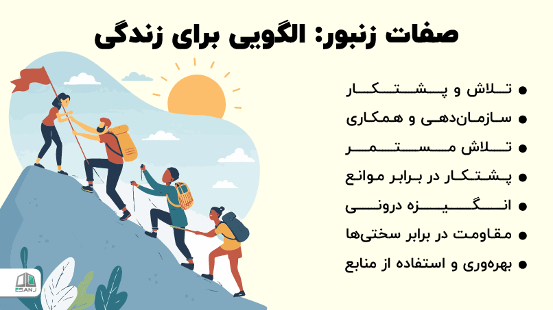 صفات زنبور: الگویی برای زندگی