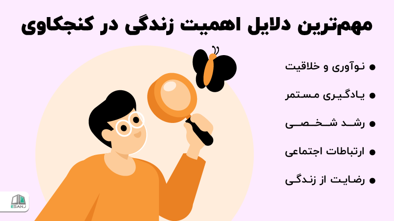 اهمیت کنجکاوی در زندگی