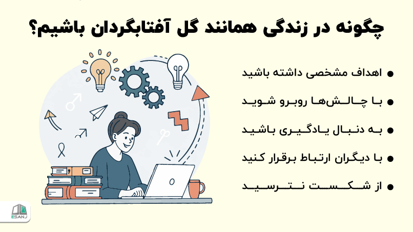 چگونه در زندگی همانند گل آفتابگردان باشیم؟