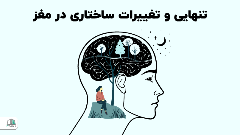 تنهایی و تغییرات ساختاری در مغز