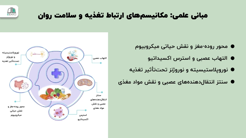 مکانیسمهای ارتباط تغذیه و سلامت روان
