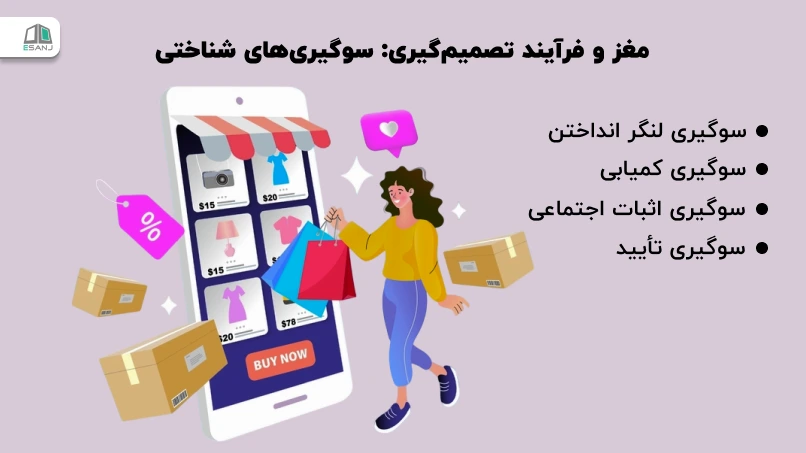 مغز و فرآیند تصمیمگیری