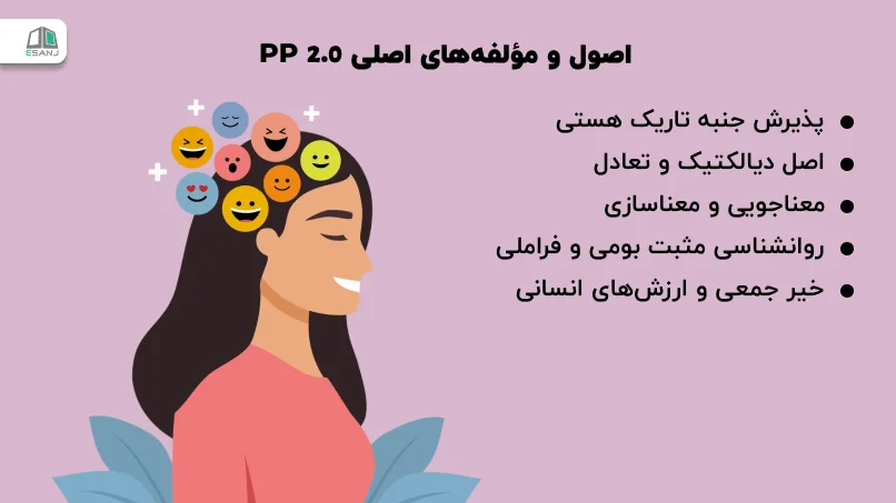 اصول و مؤلفههای اصلی PP 2.0