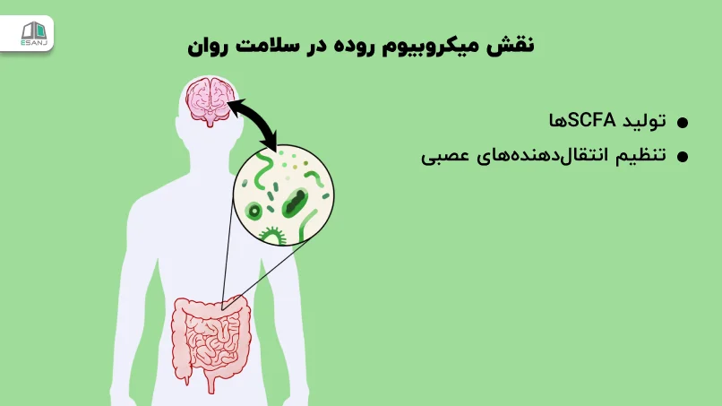 نقش میکروبیوم روده در سلامت روان