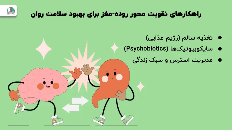 راهکارهای <strong class='view_keyword' data-description='عمل نیرومندتر کردن چیزی، خصوصاً احساس یا ایده' onclick='view_tooltip(this)' >تقویت</strong> محور روده-مغز برای بهبود سلامت روان