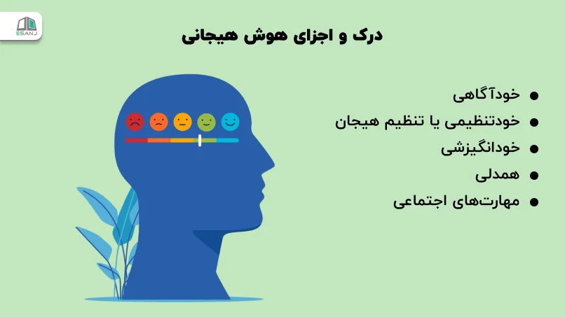 درک و اجزای هوش هیجانی
