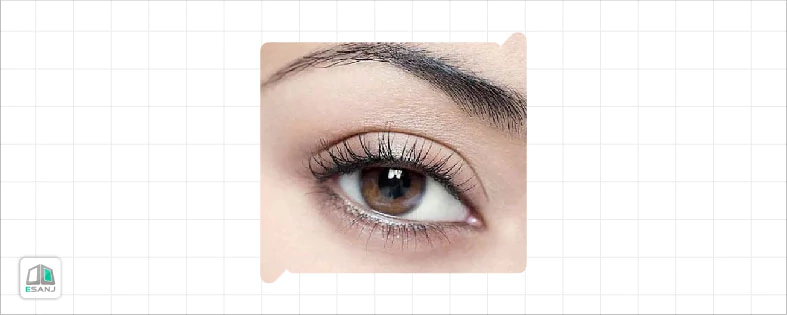 روان شناسی رنگ چشم قهوه ای