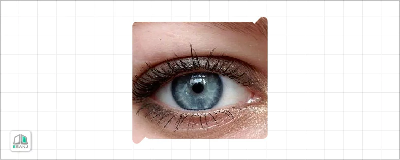 روان شناسی رنگ چشم خاکستری