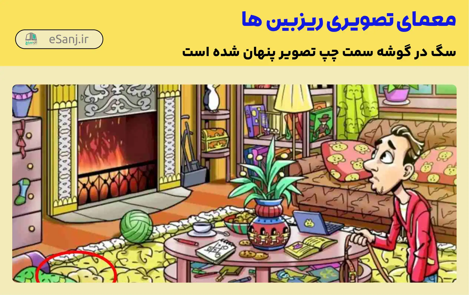 جواب معمای سگ کجا پنهان شده است