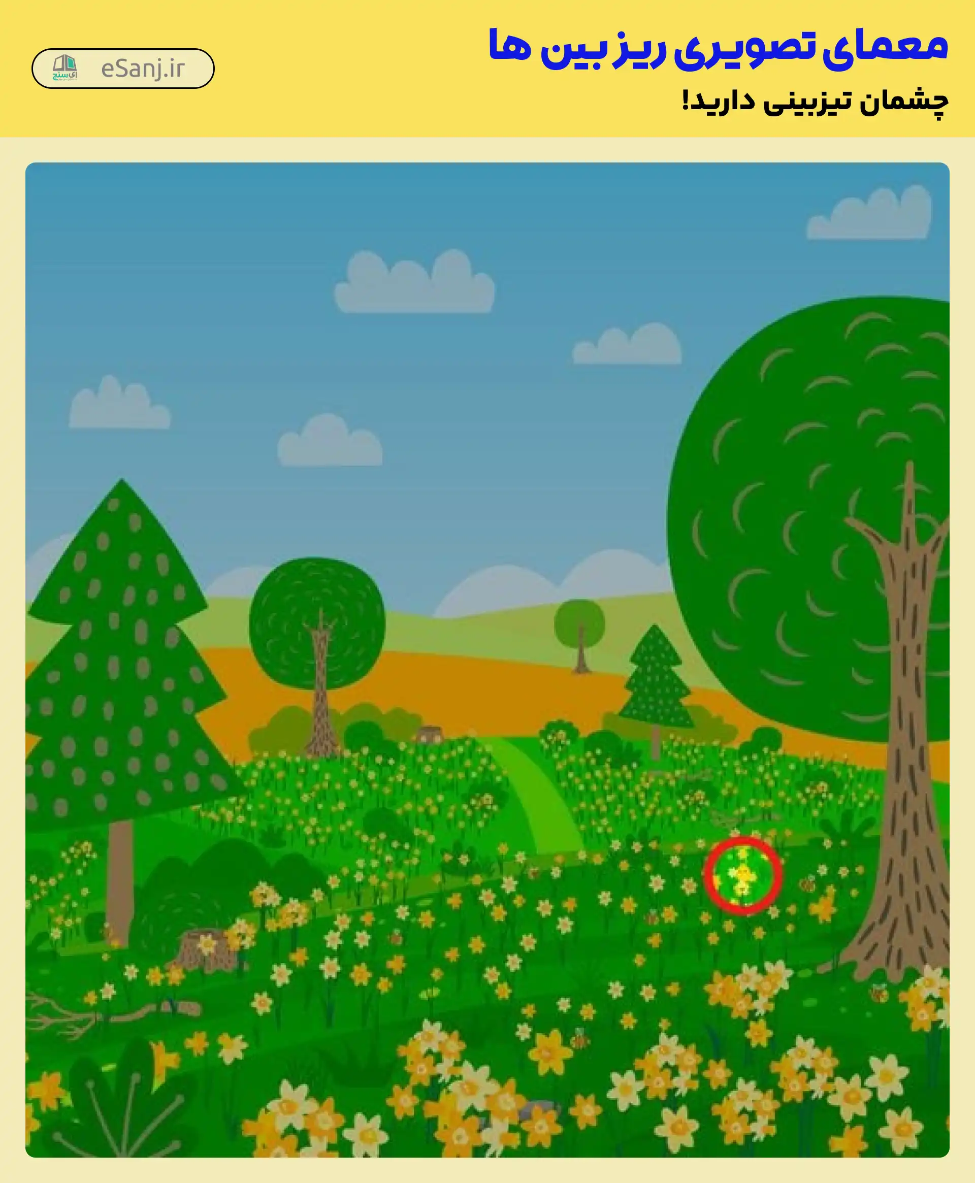 جواب معمای جوجه کجاست