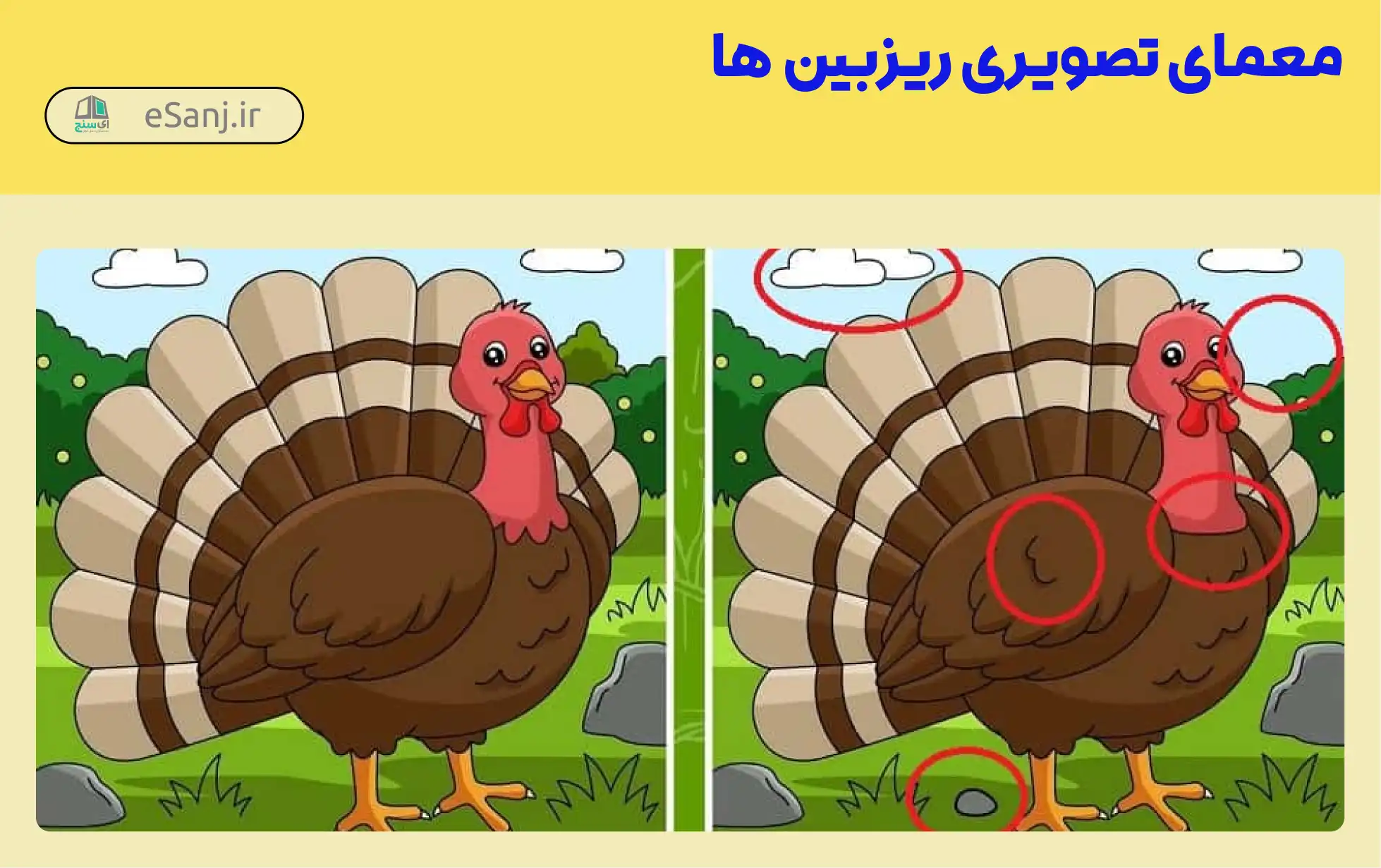 جواب معمای تفاوت میان دو تصویر را پیدا کنید
