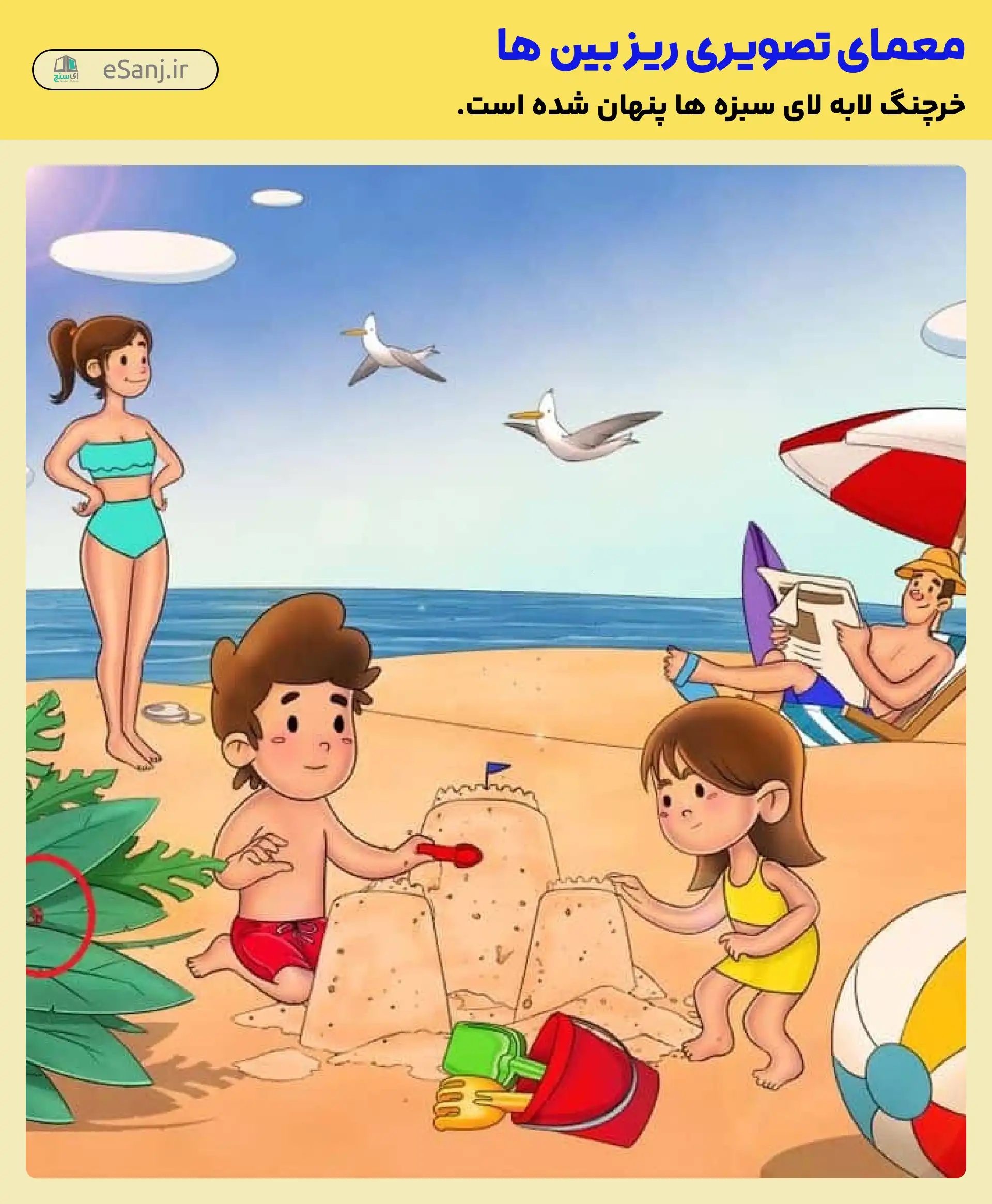 جواب معمای خرچنگ کجاست