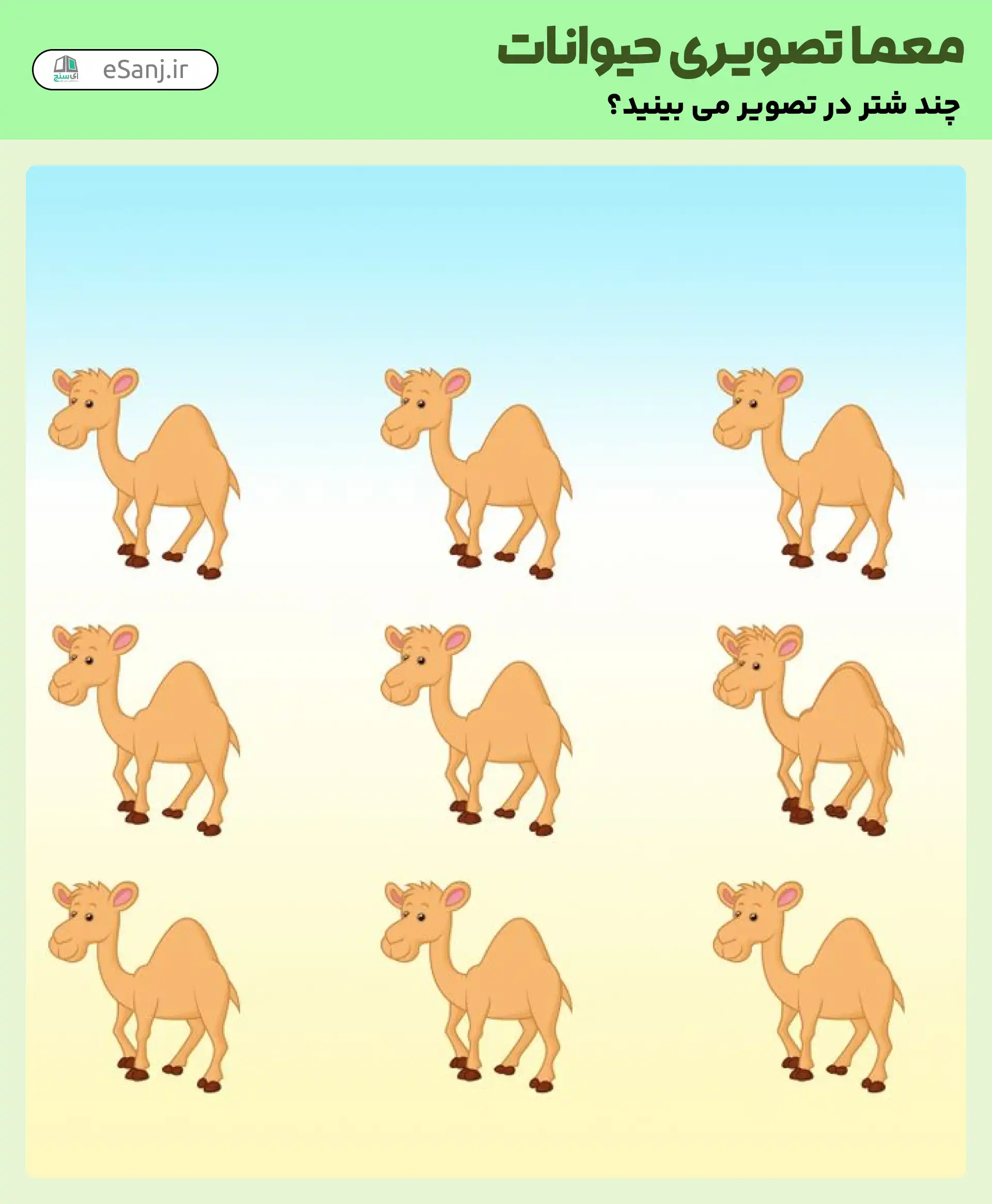 معمای تصویری حیوانات: چند شتر در تصویر وجود دارد؟