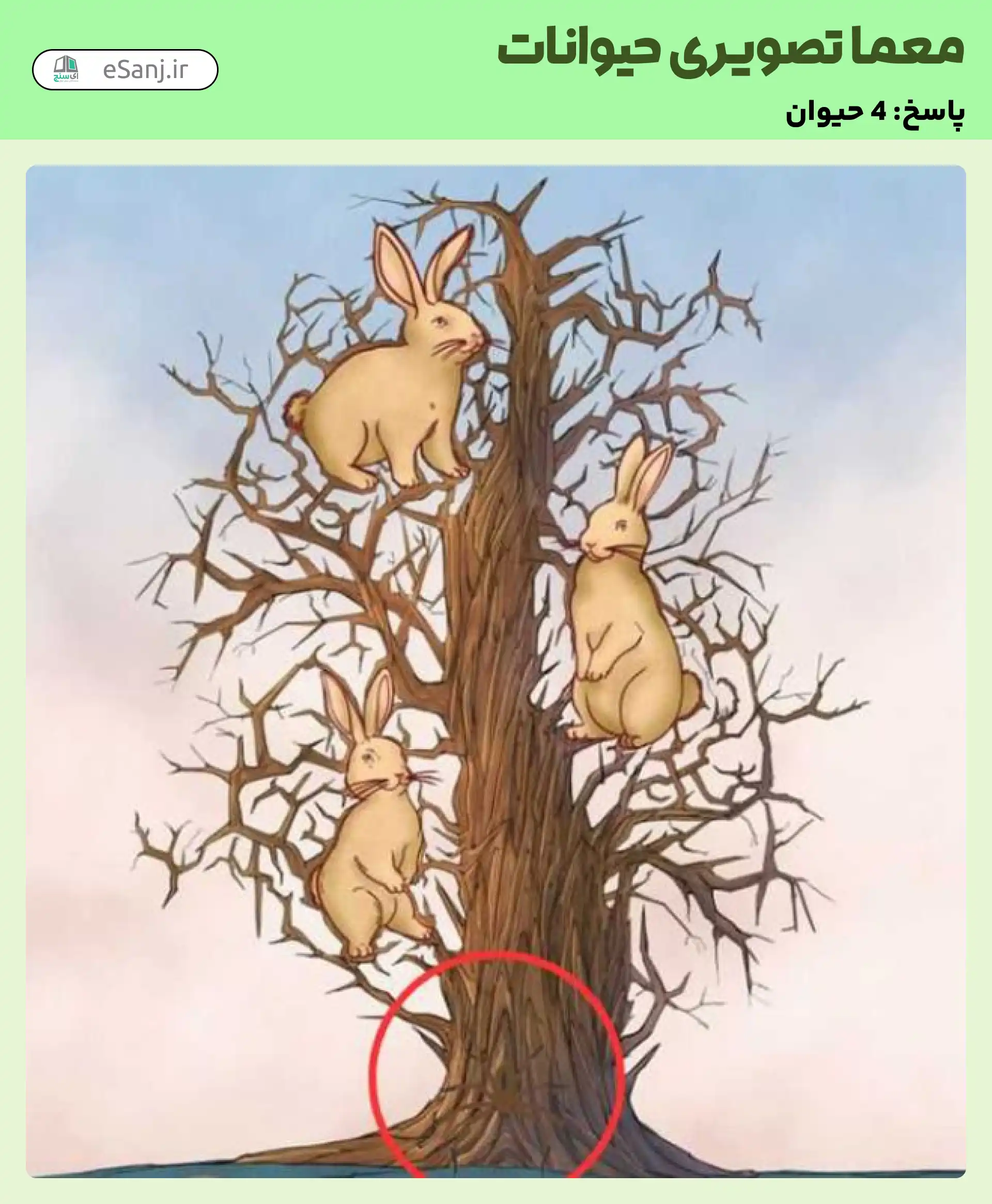 جواب معمای چند حیوان در تصویر پنهان شده است