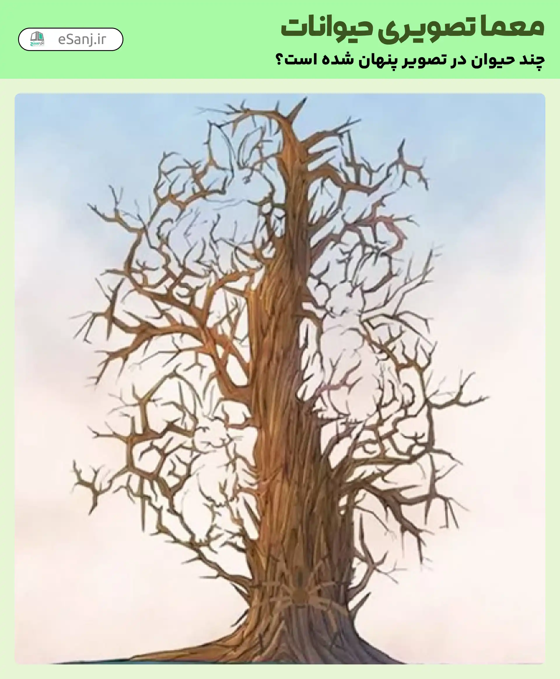 معمای تصویری حیوانات: چند حیوان در تصویر پنهان شده است؟