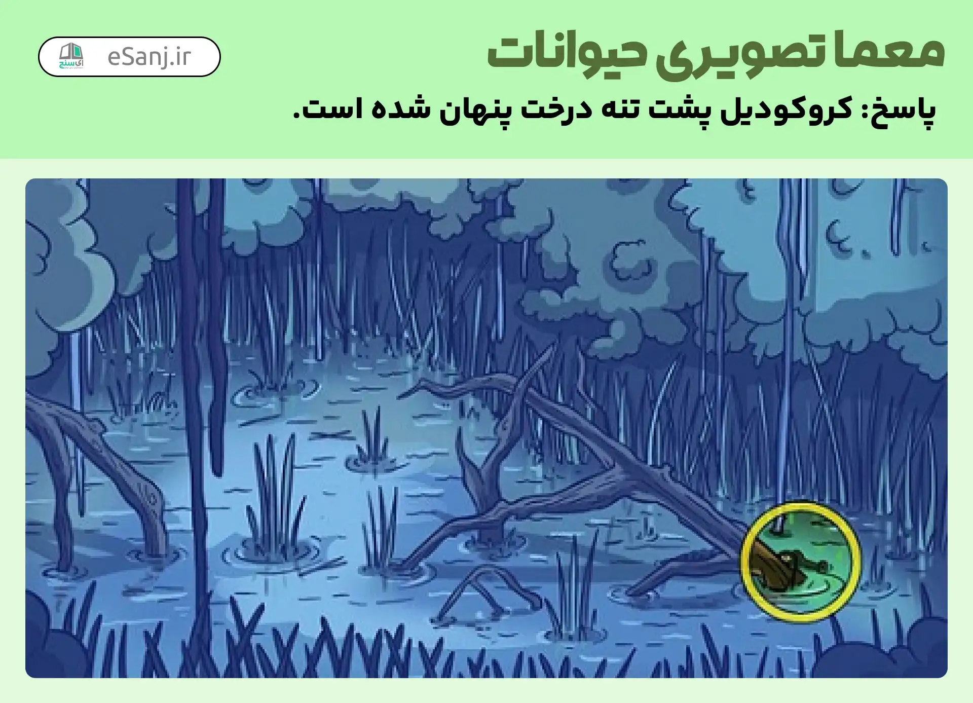 پاسخ معمای تصویری حیوانات: کروکودیل کجاست؟