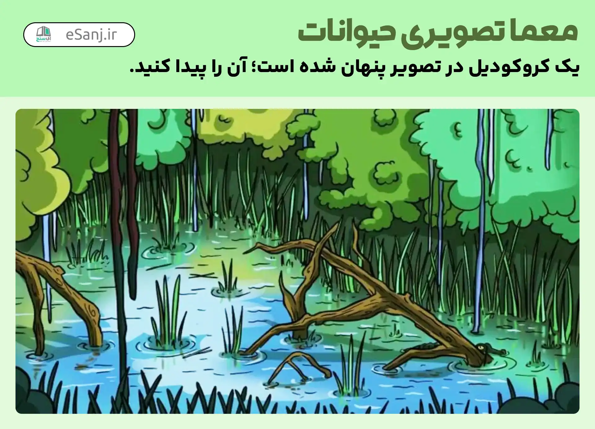 معمای تصویری حیوانات: کروکودیل کجاست؟