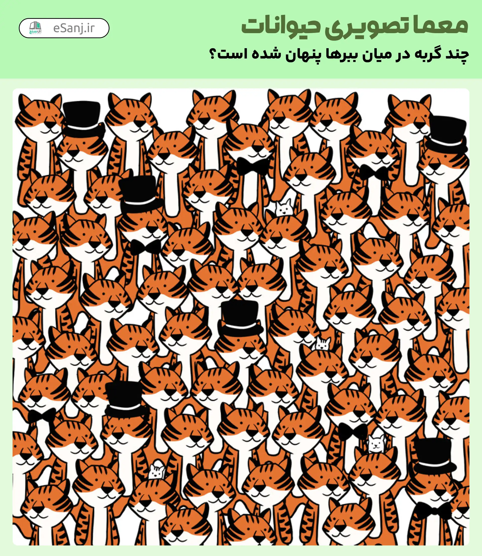معمای تصویری حیوانات: چند گربه در میان ببرها پنهان شده است؟