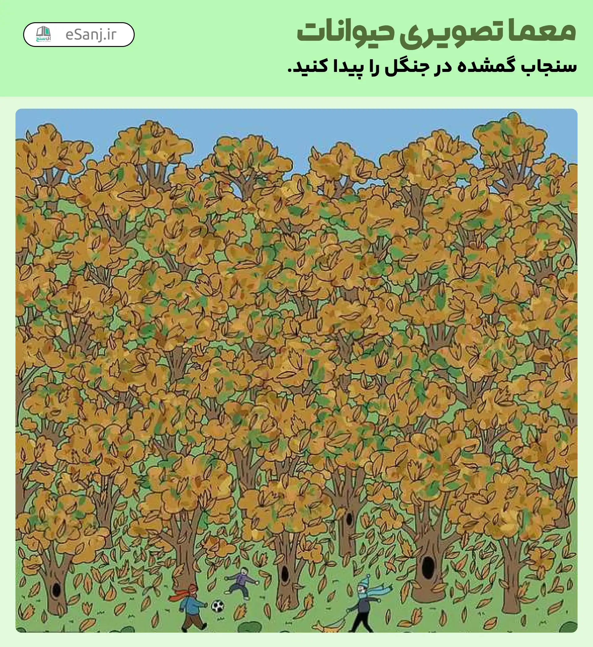 معمای تصویری حیوانات: سنجاب کجاست؟