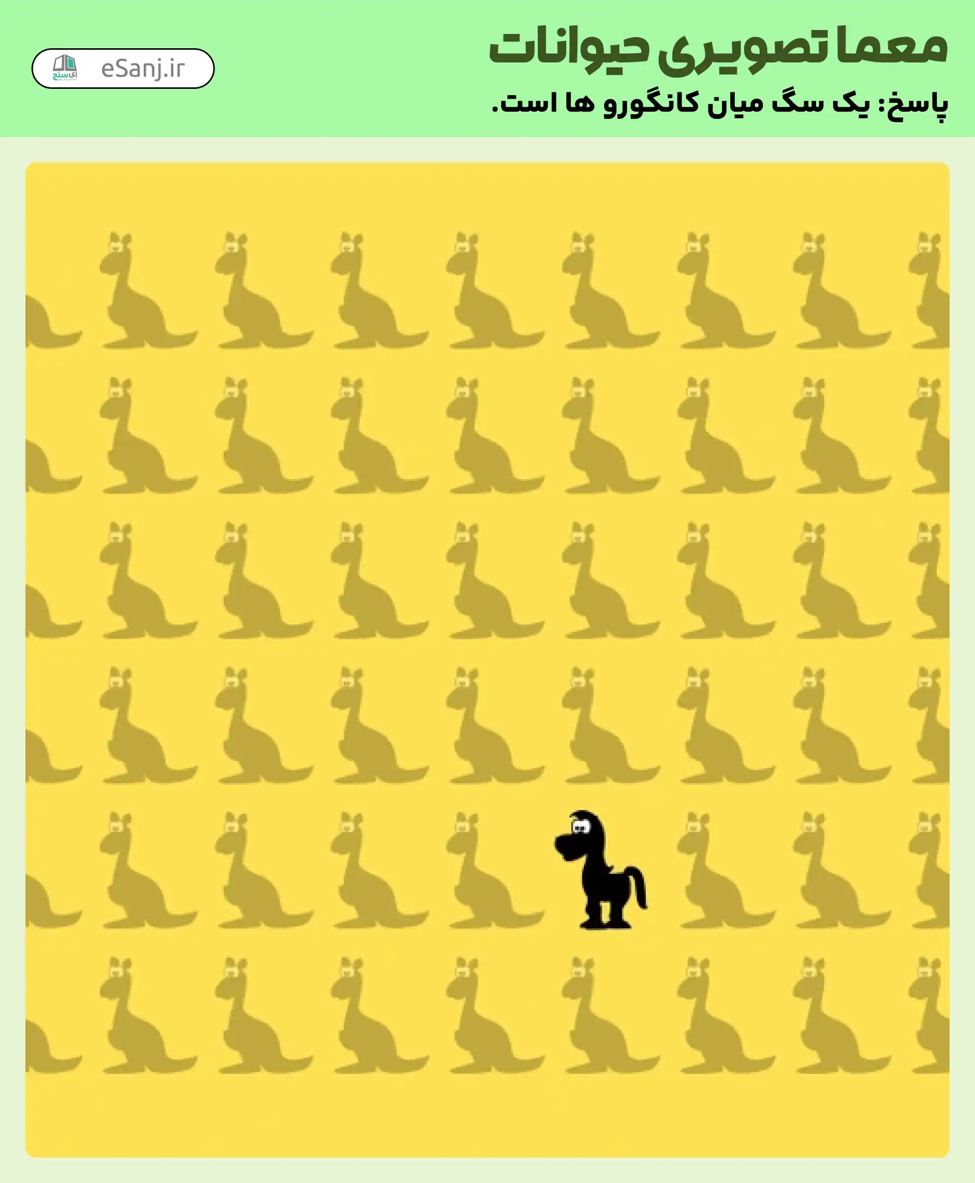 جواب معمای حیوان متفاوت کدام است.