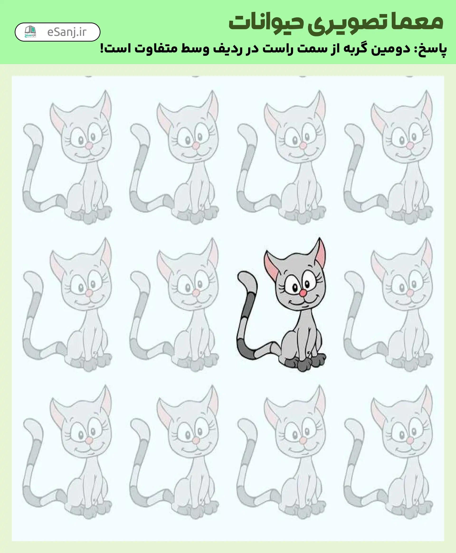 جواب معمای کدام گربه متفاوت است.