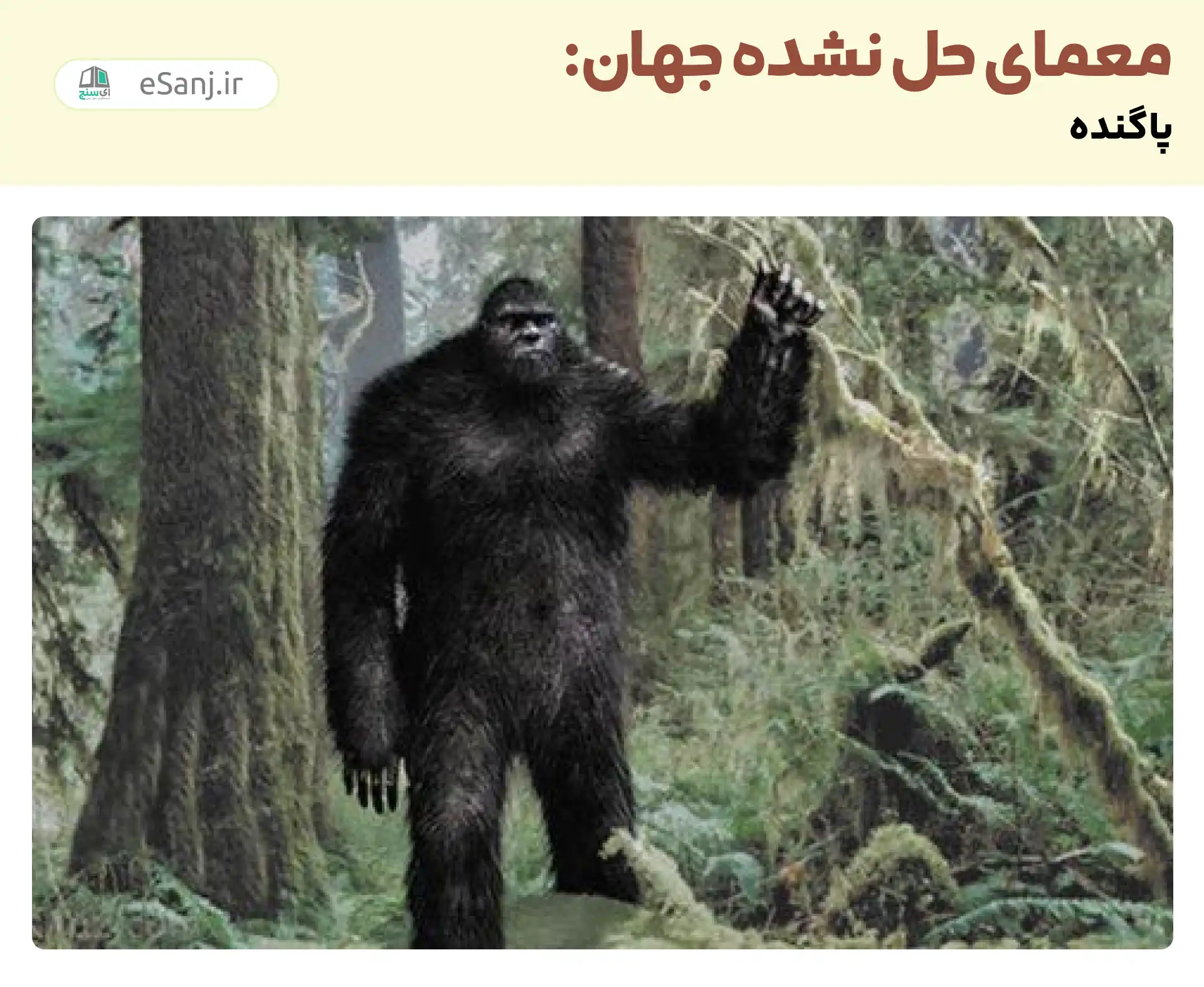 معماهای حل نشده جهان: پا گنده