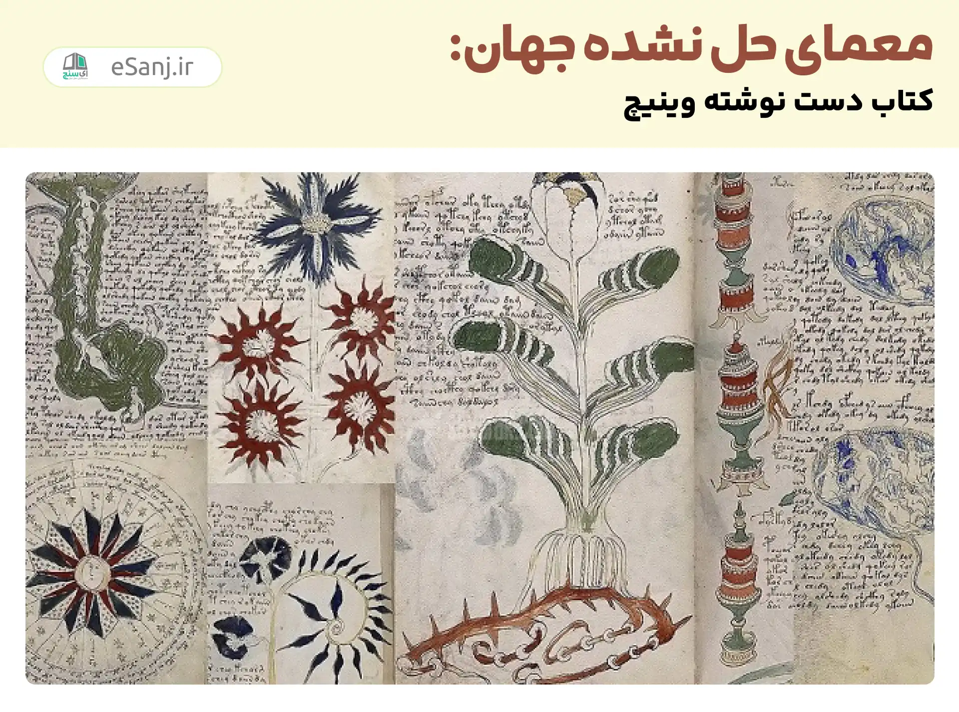 معماهای حل نشده جهان: کتاب دست نویس وینیچ
