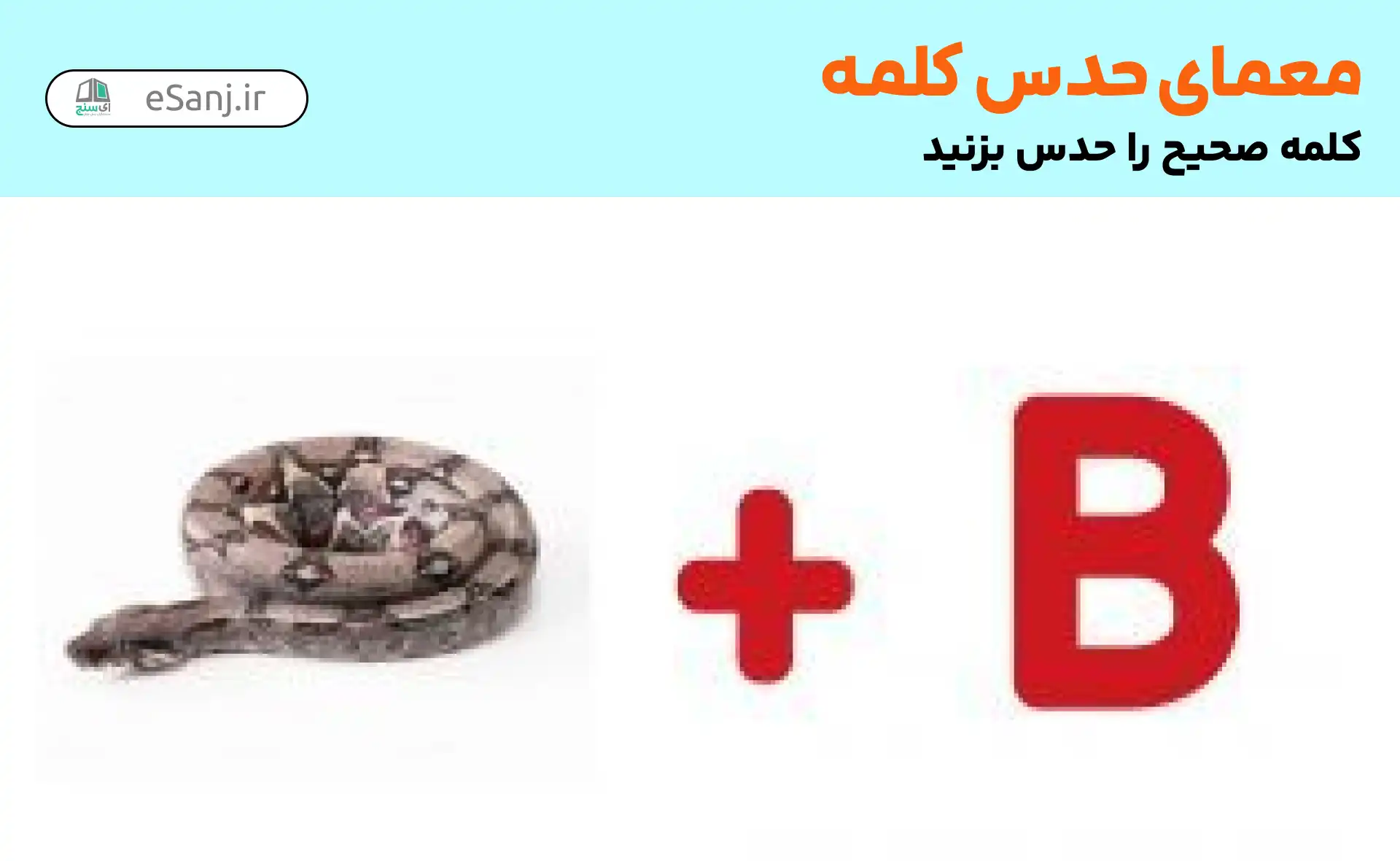 معما حدس کلمه: بیمار