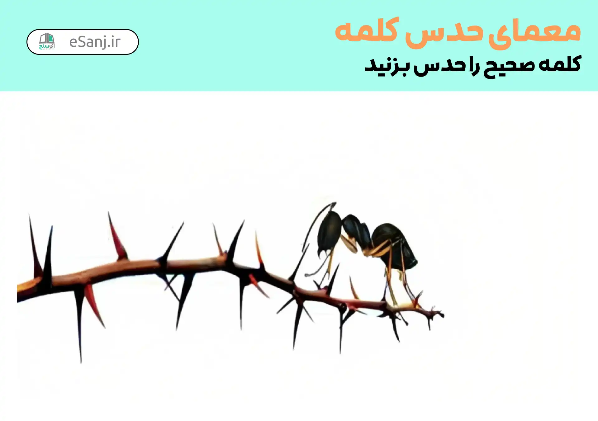 معمای حدس کلمه: مورچه خوار